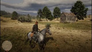 Red Dead Redemption 2 online Beechers hope [upl. by Laurin]