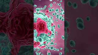 What Are Dendritic Cells science [upl. by Layod433]