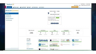 Tealium iQ Demo [upl. by Winzler]