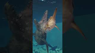 MOSASAURUS EATS A ICHTHYOSAURUS IN JURASSIC WORLD EVOLUTION 2 [upl. by Anelak]