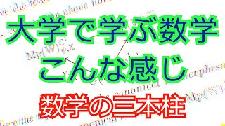 数学科で学ぶ数学の概観。大学ではこんな数学を学びます。数学の三本柱。 [upl. by Mighell623]