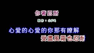 伴奏版江蕙你著忍耐DIY卡拉OK字幕 [upl. by Enitsahc]