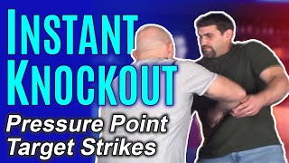 Instant Knockout Using Pressure Points Strikes  Self Defense Moves [upl. by Euqinna]