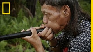 Blowpipe Maker Shares Rare Ancient Craft  Short Film Showcase [upl. by Knepper]