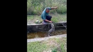 Caiman snaps man on his hand in Trinidadsubscribe for more [upl. by Ivar]