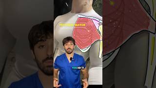 ❗️MÚSCULO QUE NO CONOCES DEL PECTORAL❗️anatomia sabiasque fisio dolor tips curiosidades [upl. by Novaat12]