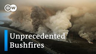 Australia bushfires  a national catastrophe  DW News [upl. by Hentrich733]