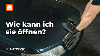 Was tun wenn sich die Motorhaube deines Autos nicht öffnen lässt  Tipps von AUTODOC [upl. by Ahmad]