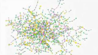 The Spread of Obesity in Social Networks [upl. by Eila]