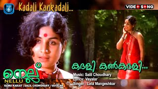 Sundari Neeyum Sundaran Naanum  Official Video  Kamal Haasan  Khushboo  Illaiyaraja ddmusic [upl. by Mirella]