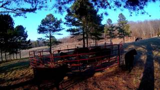 Building a Calf Creep Feeder at OzieHills Ranch [upl. by Brandt]