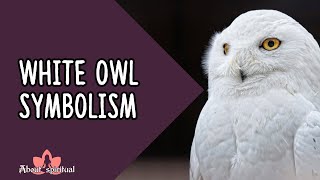 White Owl Symbolism [upl. by Ikin]