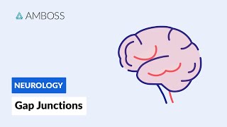 Gap Junctions Intercellular Communication [upl. by Pine]