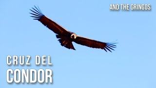 Gigliola Cinquetti  El Condor Pasa [upl. by Aynwat235]