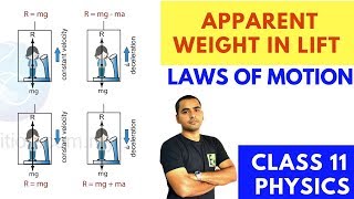 APPARENT WEIGHT IN LIFT ELEVATOR  CLASS 11 PHYSICS  LAWS OF MOTION [upl. by Juli4]