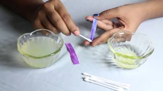 Make Your Own Litmus Paper at home by Smrithi [upl. by Stedmann]