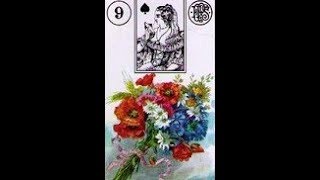 Bouquet Card  Lenormand Combination Meanings [upl. by Nimajaneb837]