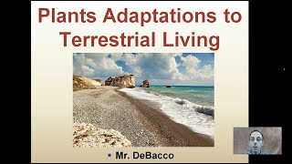 Plant Adaptations to Terrestrial Living [upl. by Ahsym804]