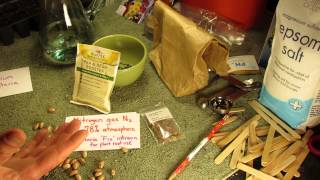 What Does It Mean to Inoculate Garden Beans amp Peas Do I Need That  The Rusted Garden 2014 [upl. by Osmo]