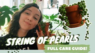 STRING OF PEARLS CARE  PROPAGATION  senecio rowleyanus tips [upl. by Anirb]