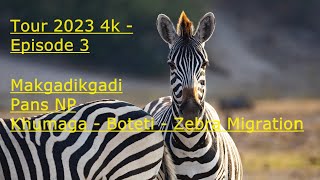 3  Makgadikgadi Pans NP  Khumaga Boteti Zebra Migration  Track 3  2023 Tour 4k [upl. by Zennie]