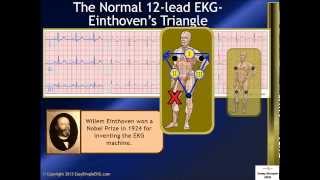 The Normal 12 Lead EKG and Einthovens Triangle [upl. by Kristel341]