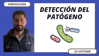 DETECCIÓN DEL PATÓGENO  PAMPs DAMPs y PRRs  INMUNOLOGÍA [upl. by Suedaht]