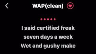 WAP Clean lyrics by Cardi B ft Megan theeKaraoke Version [upl. by Gregrory]