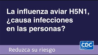 La influenza aviar H5N1 ¿causa infecciones en las personas [upl. by Claudius]