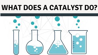 What Does A Catalyst Do [upl. by Mountford]