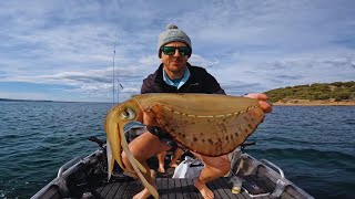 Fishing Western Port Bay for Giant Squid [upl. by Yllen]