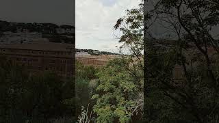 Orange garden in aventine  panorama view [upl. by Ihtraa791]