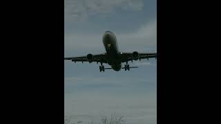 Airbus A330300 Delta airlines [upl. by Rapp]