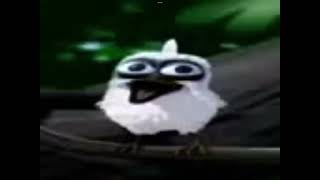 Bird screaming meme [upl. by Artined926]