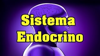 El Sistema Endocrino [upl. by Blinny]