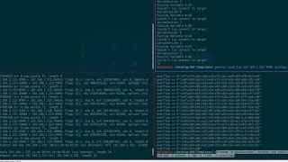 Exploiting VulnServer [upl. by Naedan31]