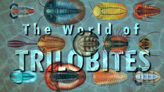 World of TRILOBITES [upl. by Inor]