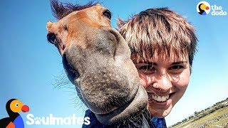 Horse And Her Mom Saved Each Others Lives  The Dodo Soulmates [upl. by Graham]