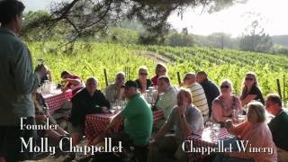 Napa Valleys Chappellet Winery [upl. by Adnilra]