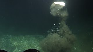 Explosive Methane Burst and Bubble Streams  Nautilus Live [upl. by Prudy384]