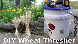 Quick Wheat Threshing by Hand  Dont Drop a Single Wheat Berry  Home Scale Wheat Processing [upl. by Adnolaj358]