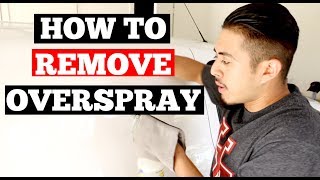 How To REMOVE OVERSPRAY From Car Paint  Auto Detailing Tips [upl. by Caralie]