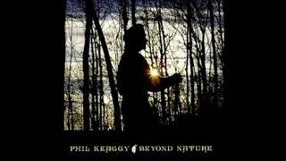 Phil Keaggy  Beyond Nature [upl. by Ssidnak]