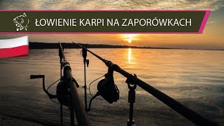 Jak łowić karpie wczesną wiosną  NLTSKLEPPL [upl. by Reynold592]