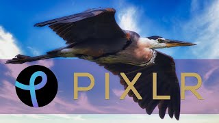 PIXLR Editor Tutorial  basic photo editing tips [upl. by Ahsoj]