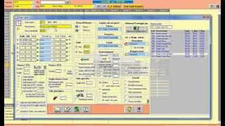 Software Rilevazione Presenze gestione turni [upl. by Yrrag]