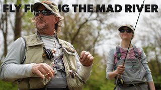 Fly Fishing the Mad River with Katie Johnstone for Brown Trout [upl. by Yendroc]