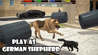 Ultimate Dog Simulator by Gluten Free Games  Part 3  Android Gameplay HD [upl. by Yee]