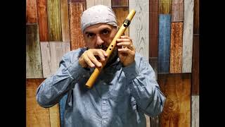 How to Play the Native American Flute in under 10 minutes EASY Lesson 1 [upl. by Eugor]