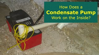 How Does a Condensate Pump Work on the Inside [upl. by Sawtelle193]